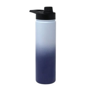 Works 24oz Stainless Steel Bottle W/ Screw Cap Lid