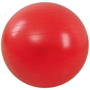 From Anti-Burst and Slip Resistant Exercise Ball